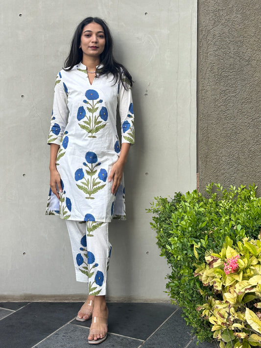 Lekha Cotton Co-Ord Set